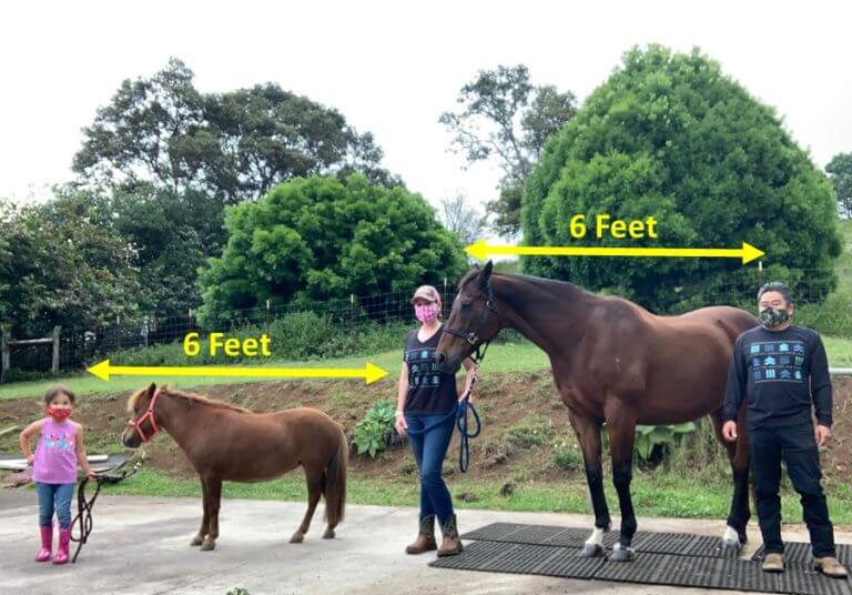 Parents and child demonstrating that 6 feet is the length of a pony or horse.