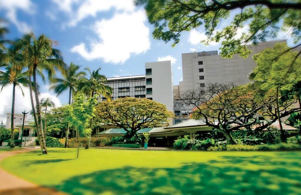 Sunny day outside of hospital building with a lot of greenery