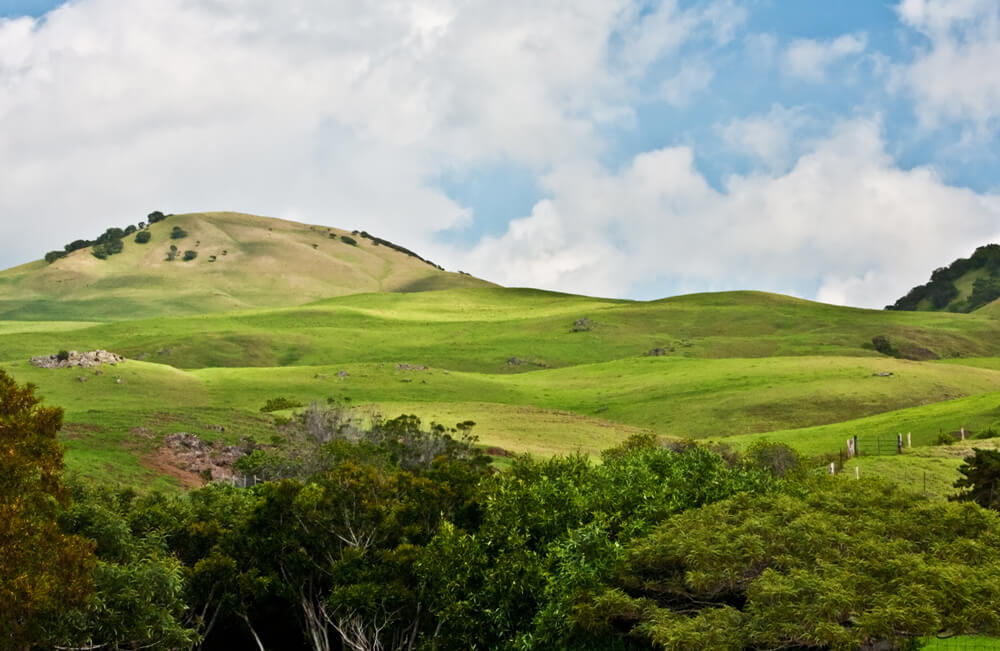 Green hillside with clouds in the sky