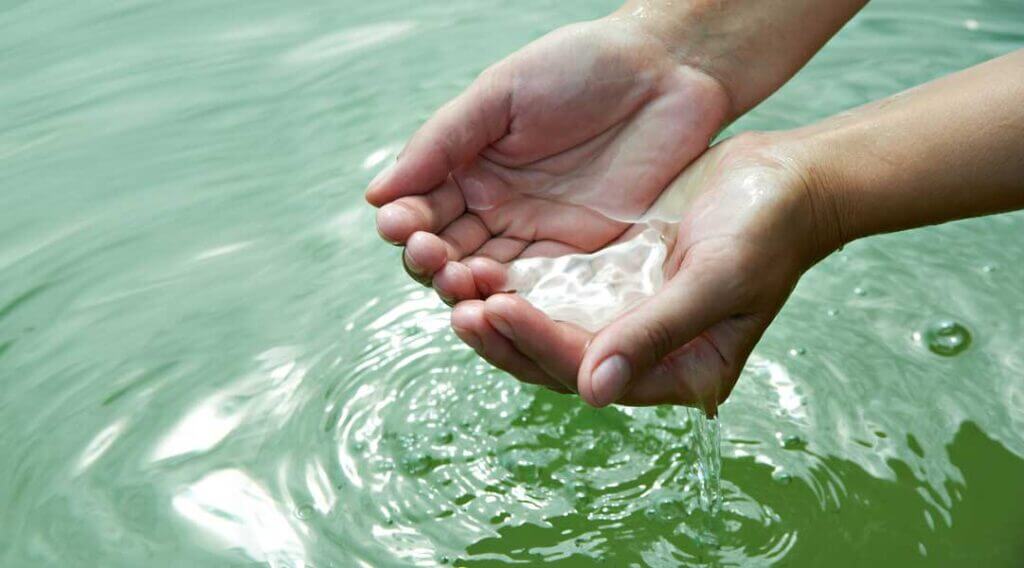 Close up of 2 hands cupping water out of a body of water