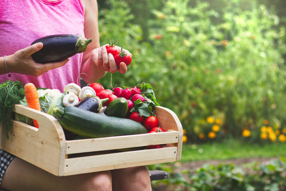 Woman Holding Fresh Vegetables
